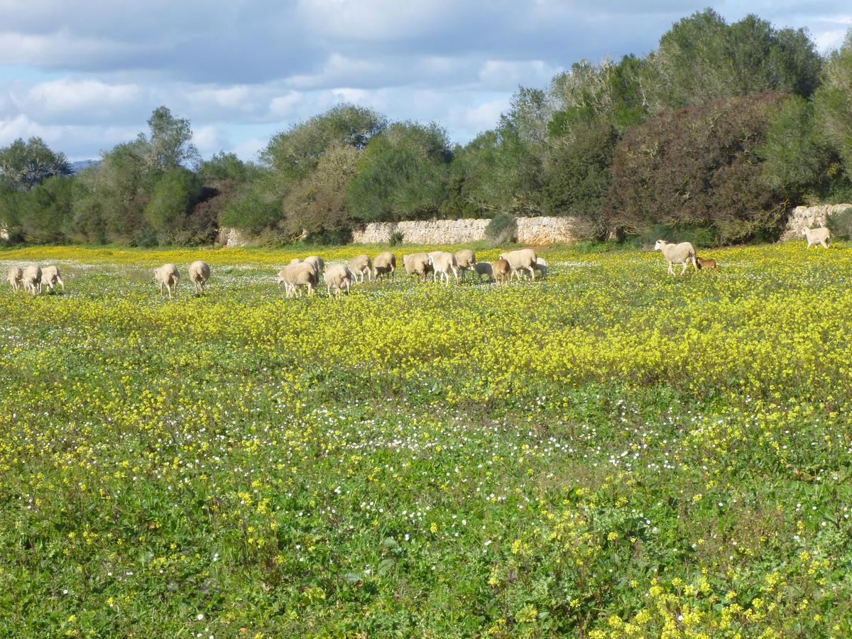 Agroturisme Son Llado Campos  Extérieur photo